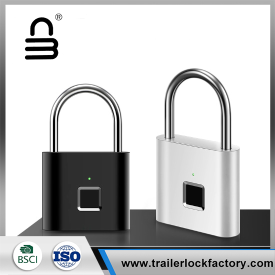 Mini keyless Smert Securitatis clausum